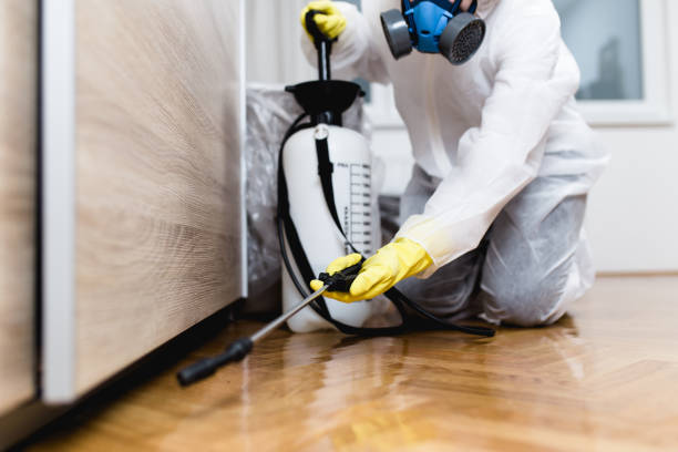 Best Residential Pest Control  in Aviston, IL