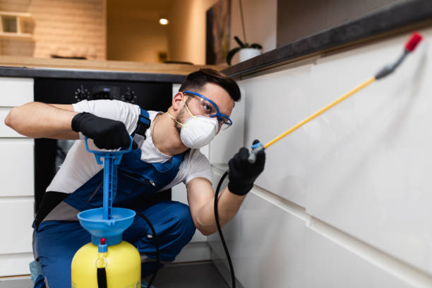 Best Pest Control Near Me  in Aviston, IL