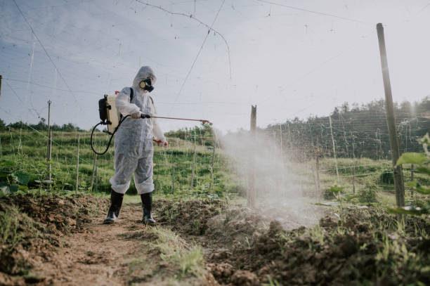 Best Local Pest Control Services  in Aviston, IL