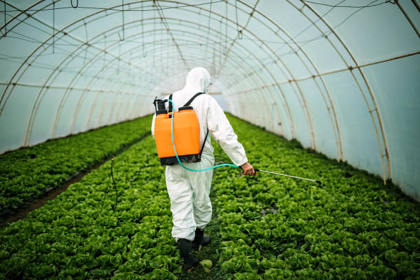 Best Emergency Pest Control  in Aviston, IL