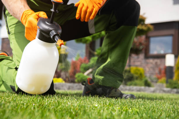 Best Pest Prevention Services  in Aviston, IL