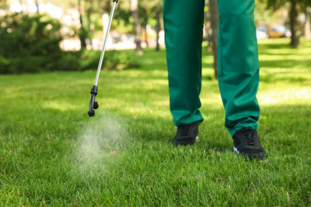 Best Best Pest Control Companies  in Aviston, IL
