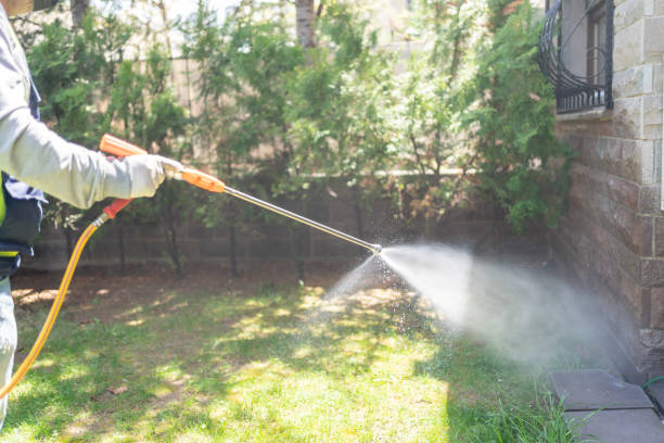Bird Control in Aviston, IL