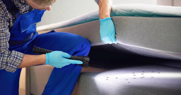 Best Pest Control Near Me in Aviston, IL