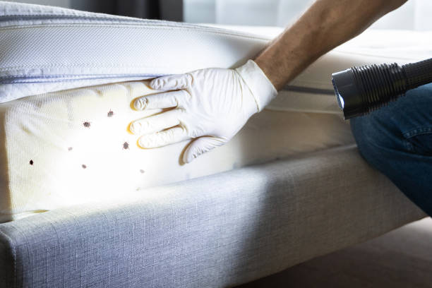 Pest Control Cost in Aviston, IL