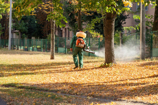 Trusted Aviston, IL Pest Control Experts