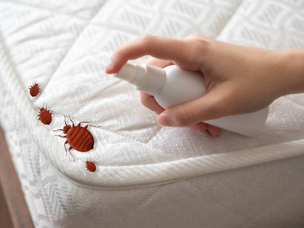 Best Pest Removal Services  in Aviston, IL