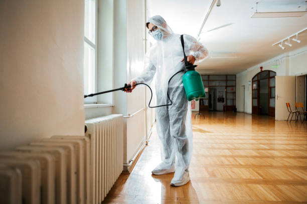 Best Affordable Pest Control Services  in Aviston, IL