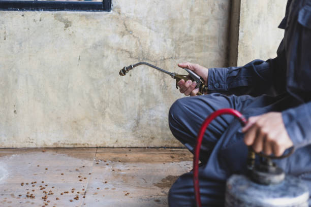 Best Best Pest Control Near Me  in Aviston, IL